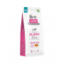 Brit Care Libre de Granos Puppy Salmon y Papa 12kg