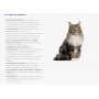 VitalCan Nutrique Cat 7+ Healthy Maintenance 2kg