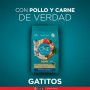 PURINA ONE Gatitos de Pollo y Carne 2Kg
