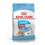 Medium Starter Mother & Babydog 3kg