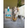 Pouch Winga Caldo de Huesos con Choritos para Gato 180grs