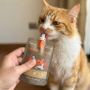 Pouch Winga Prebiotic Salmon Gatos 90grs