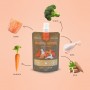 Pouch Winga Prebiotic Salmon Gatos 90grs
