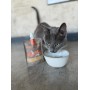 Pouch Winga Prebiotic Salmon Gatos 90grs