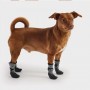 Pack Botines GF Pets Talla Small