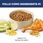 Hills Science Diet Adult, alimento saludable para gato adulto sabor pollo  3.2Kg