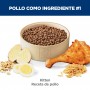 Hills Science Diet Kitten, alimento saludable para gatitos sabor pollo  1.6Kg