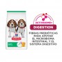 Hills Science Diet alimento para perro cachorro bocados pequeños 2Kg