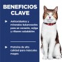 Hills Science Diet Adult 7+, alimento saludable para gato senior y fibras naturales 1.8Kg