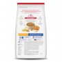 Hills Science Diet Adult Light, alimento saludable bajo en calorías para gato adulto 3.2Kg