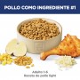 Hills Science Diet Adult Light, alimento saludable bajo en calorías para gato adulto 3.2Kg