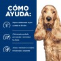 Hills Prescription Diet z/d alimento para perro sensibilidades alimentarias 3.6 Kg
