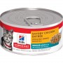 Hills Prescrition Diet alimento húmedo en lata para gato adulto de interior 156g
