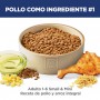 Hills Science Diet Small & Mini, alimento saludable para perro adulto razas pequeñas y mini 2Kg