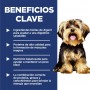 Hills Science Diet Small & Mini, alimento saludable para perro adulto razas pequeñas y mini 2Kg