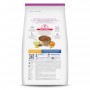 Hills Science Diet Small & Mini Adult 7+, alimento para perro senior raza pequeña y mini 2Kg