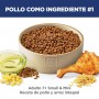 Hills Science Diet Small & Mini Adult 7+, alimento para perro senior raza pequeña y mini 2Kg