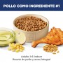 Hills Science Diet Adult Indoor, alimento saludable para gato adulto de interiores  1.6Kg