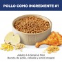 Hills Science Diet Small & Mini Light, alimento para perro adulto bajo en calorías raza pequeña y mini 2Kg