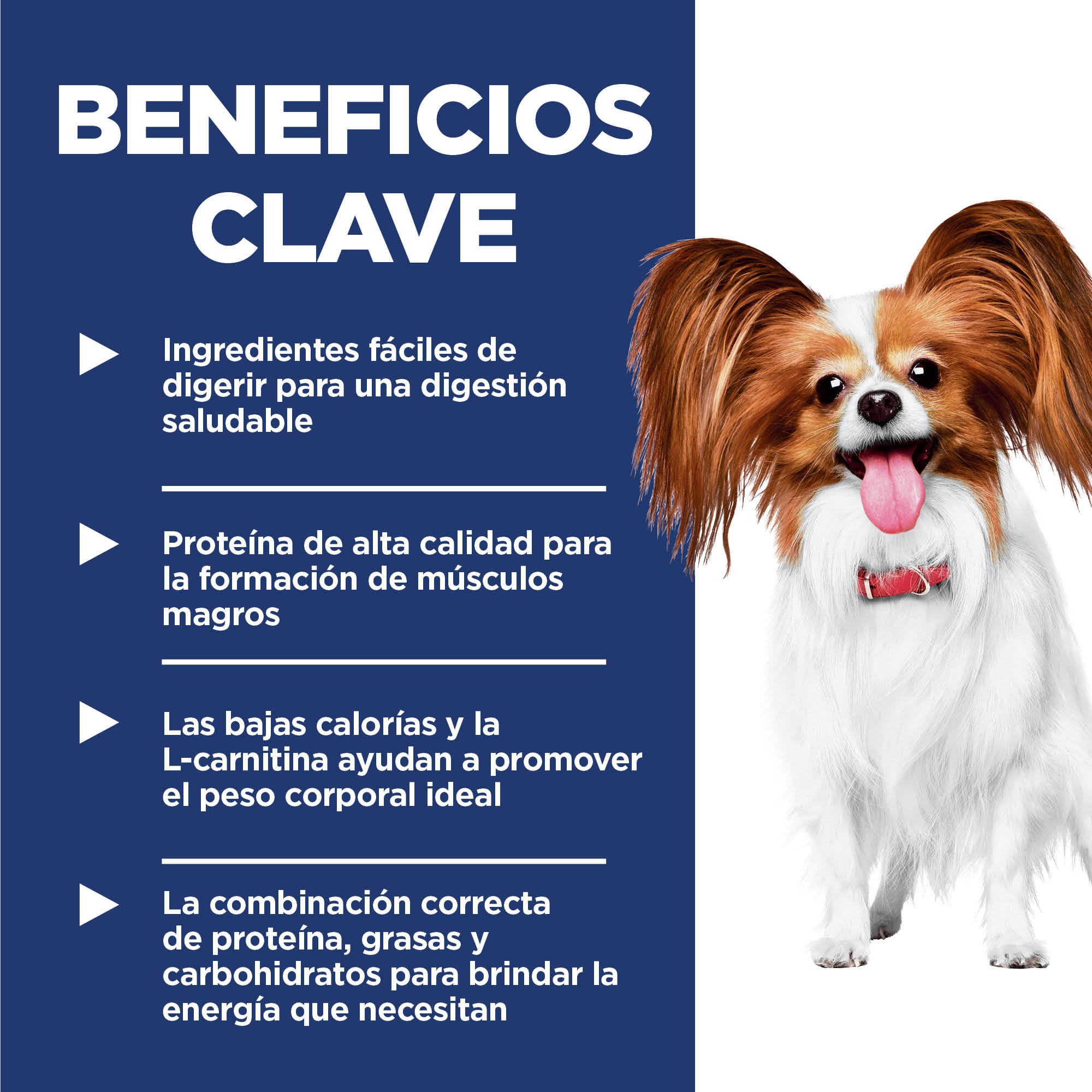 Hills Science Diet Small & Mini Light, alimento para perro adulto b