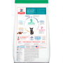 Hills Science Diet Kitten Indoor, alimento saludable para gatito de interior sabor pollo 1.6Kg