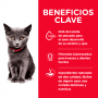 Hills Science Diet Kitten Indoor, alimento saludable para gatito de interior sabor pollo 1.6Kg
