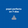 Hills Science Diet Perfect Digestion, alimento de cuidado digestivo para gato adulto 1.6Kg