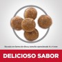 Hills Science Diet Perfect Digestion, alimento de cuidado digestivo para gato adulto 1.6Kg