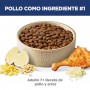 Hills Science Diet Adult 7+, alimento saludable para perro senior sabor pollo 12Kg
