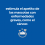 Hills Presciption Diet Onc Care Alimento húmedo para perro apoyo y recuperación 354 g
