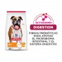 Hills Science Diet Adult Light, alimento saludable para perro bajo en calorías 6.8Kg