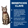 Hills Science Diet Adulto, alimento húmedo en lata para gato adulto receta de salmón, 156g
