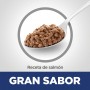 Hills Science Diet Adulto, alimento húmedo en lata para gato adulto receta de salmón, 156g
