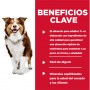 Pack 12 Hills Science Diet, alimento húmedo para perros adultos +7 años, carne de res y cebada, 370g