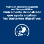Pack 24 Hills Prescription Diet  i/d Alimento húmedo para gato Cuidado Digestivo 156 g