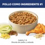 Hills Science Diet Adult, alimento saludable perro adulto para pelaje, sabor pollo 7.5Kg