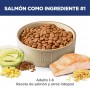 Hills Science Diet Adult, alimento saludable perro adulto receta de salmón, 2.0 kg
