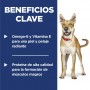 Hills Science Diet Adult, alimento saludable perro adulto receta de salmón, 2.0 kg