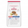 Hills Science Diet Adult, alimento saludable perro adulto receta de salmón, 6.3 kg