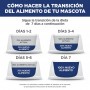 Hills Science Diet Adult, alimento saludable perro adulto receta de salmón, 6.3 kg