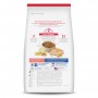 Hills Science Diet Adult, alimento saludable gato adulto receta de salmón, 2.9kg