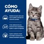 Hills Prescription Diet i/d Kitten, Cuidado Digestivo, Alimento Húmedo para Gatito, 156 g