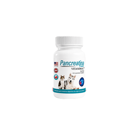 Pancreatina 30 Comprimidos Frasco