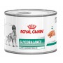 Royal Canin Alimento Humedo GlycoBalance (Ex Diabetic) 195 grs.