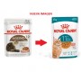 Royal Canin Felino Pouch Húmeda Ageing 11+ 85 grs
