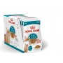 Pack 12 Royal Canin Felino Pouch Humeda Ageing 11+ 85grs