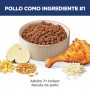 Hills Science Diet Adult Indoor 7+, alimento saludable para gato senior mayores a 7 años de interiores  1.6Kg
