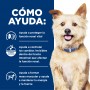 k/d Alimento Humedo Hills Canine Prescription 370G (KD)