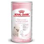 Kit Royal Canin BabyCat Milk 300grs