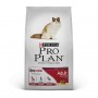 Pro Plan Cat Chicken & Rice 3 KG